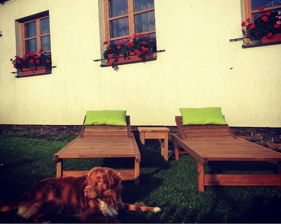Horský apartmán Zvonička Rejvíz Exteriér fotografie